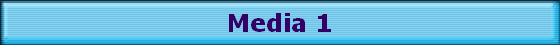 Media 1